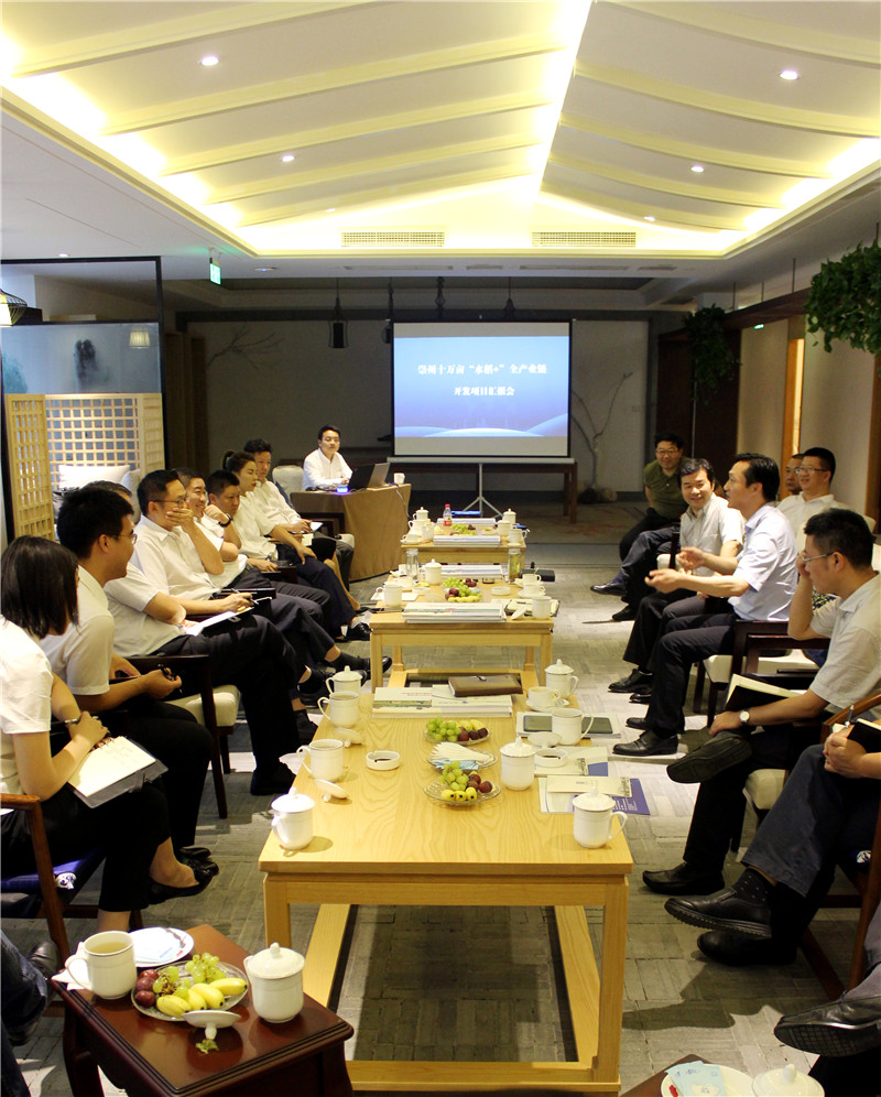 肖川江向崇州市委书记赵浩宇等汇报策划方案.jpg