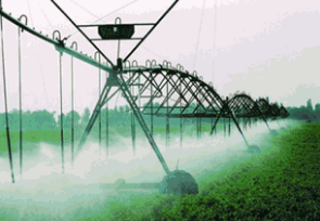 四川省华盛兴邦生态农业科技有限责任公司