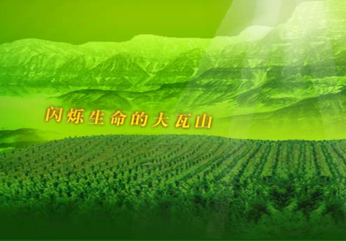 四川祥光农业科技开发有限公司